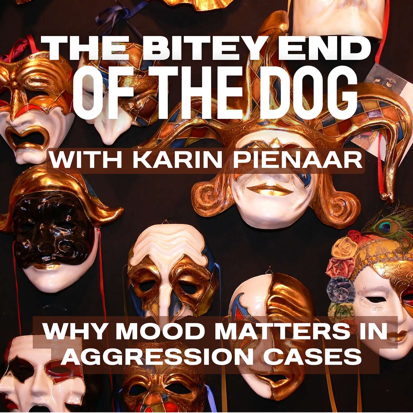 Why Mood Matters in Aggression Cases With Karin Pienaar