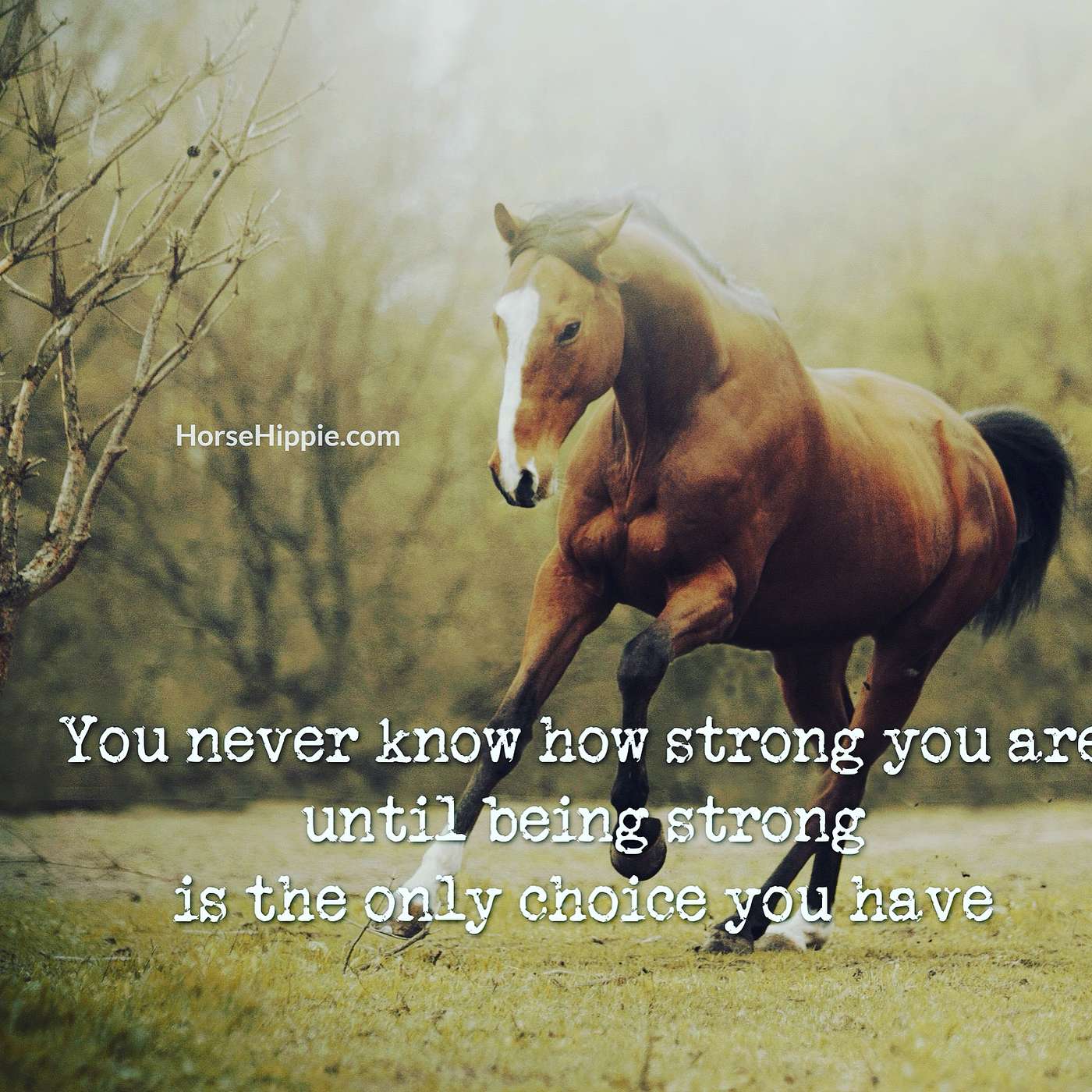 Stronger Despite of It