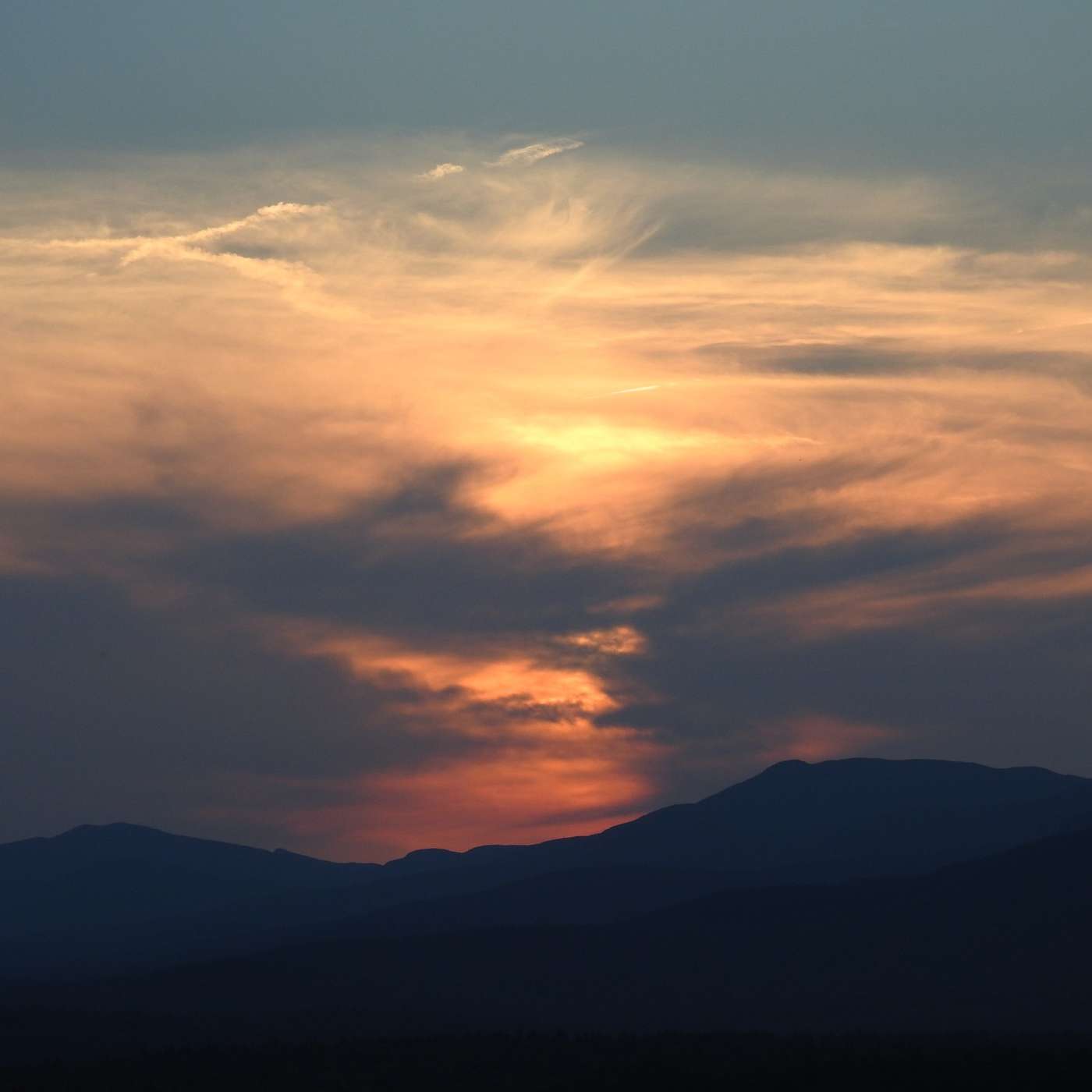 VIEWING SUNSET FROM THE LUPINE FIELD