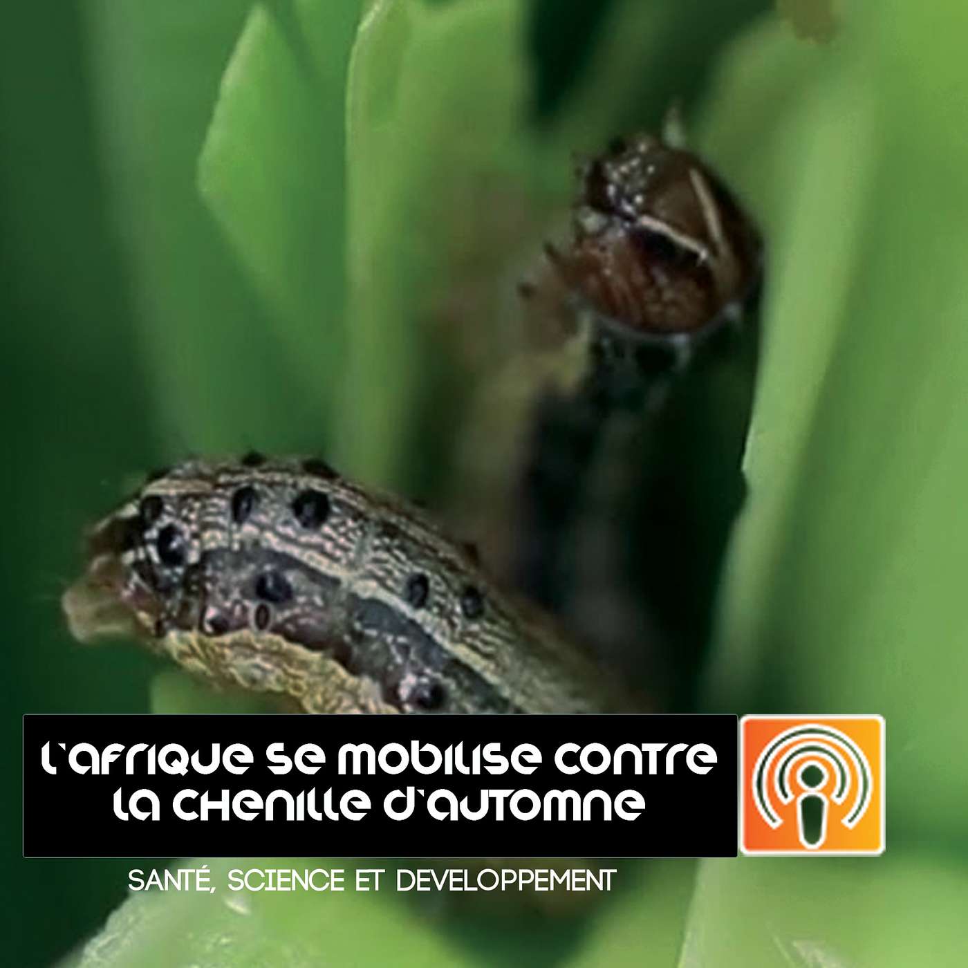 Santé, Science et Développement