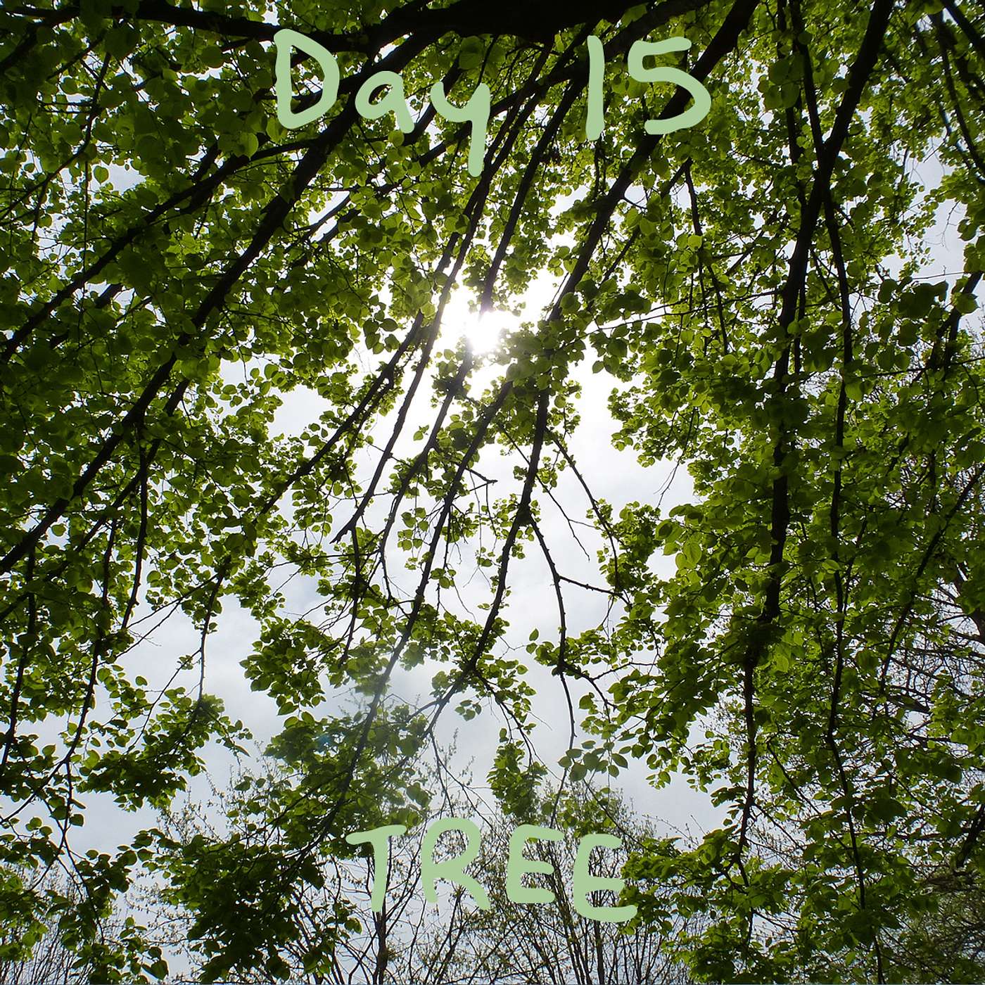 Day 15 𖦹 TREE episode artwork