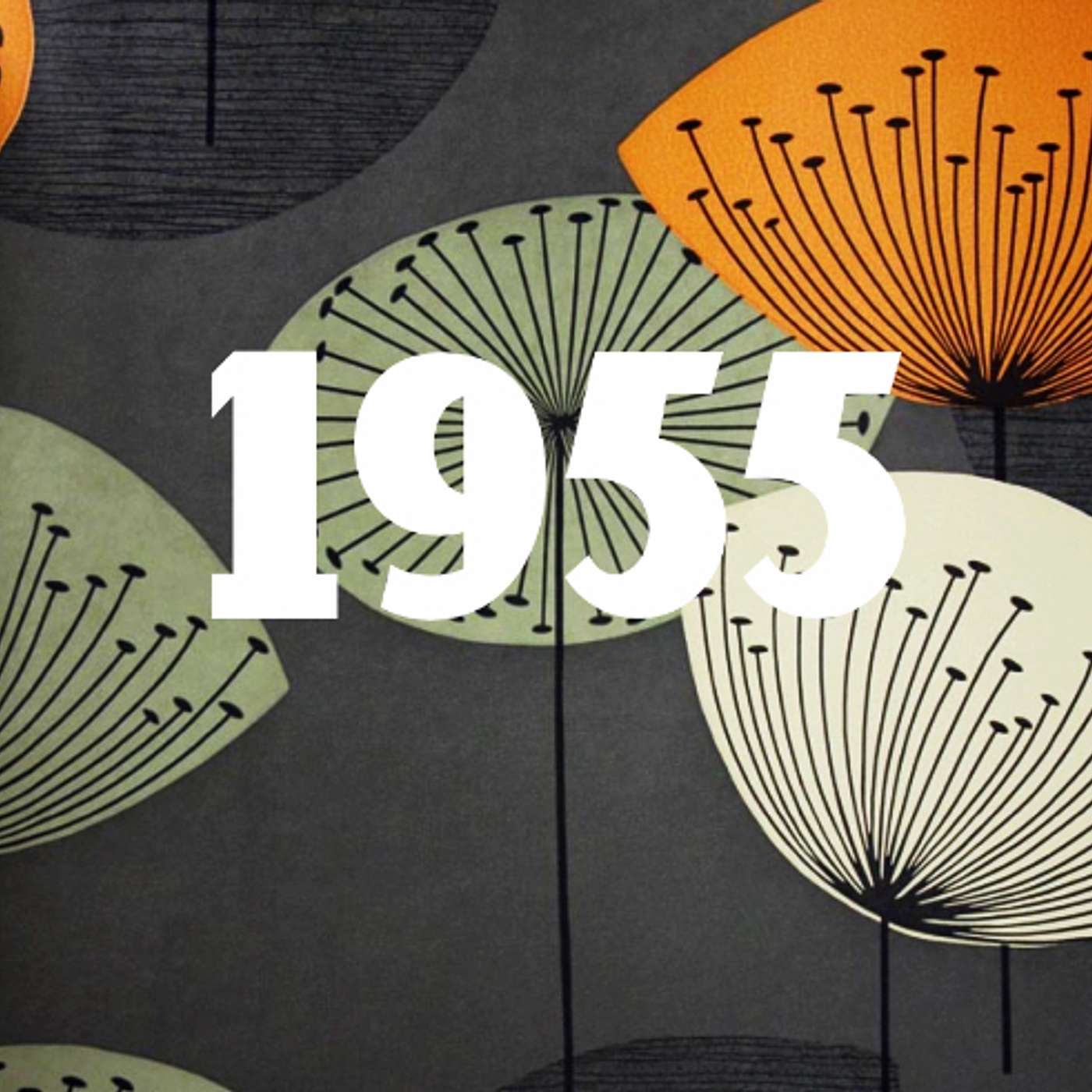 THAT DARN HISTORY: 1955