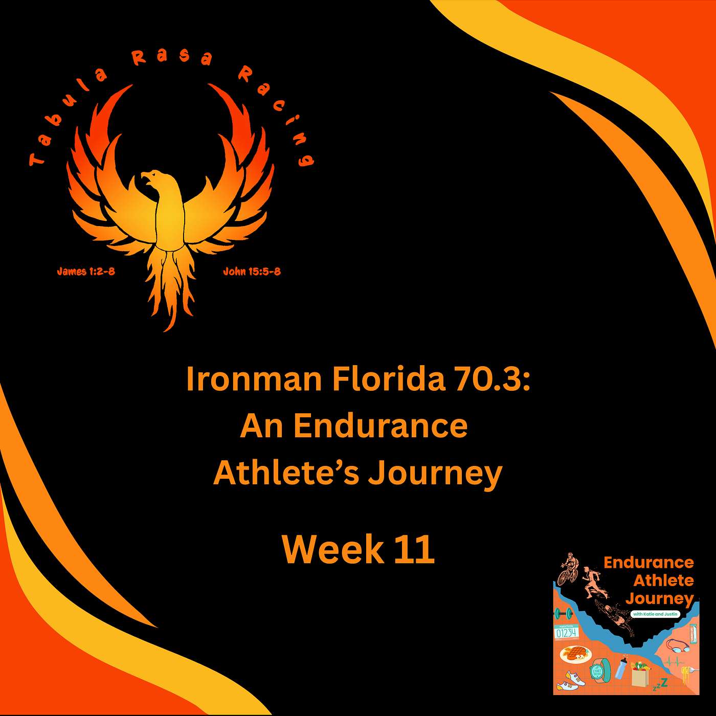 Bonus Cast: Ironman Florida 70.3: An Endurance Athlete’s Journey - Week 11