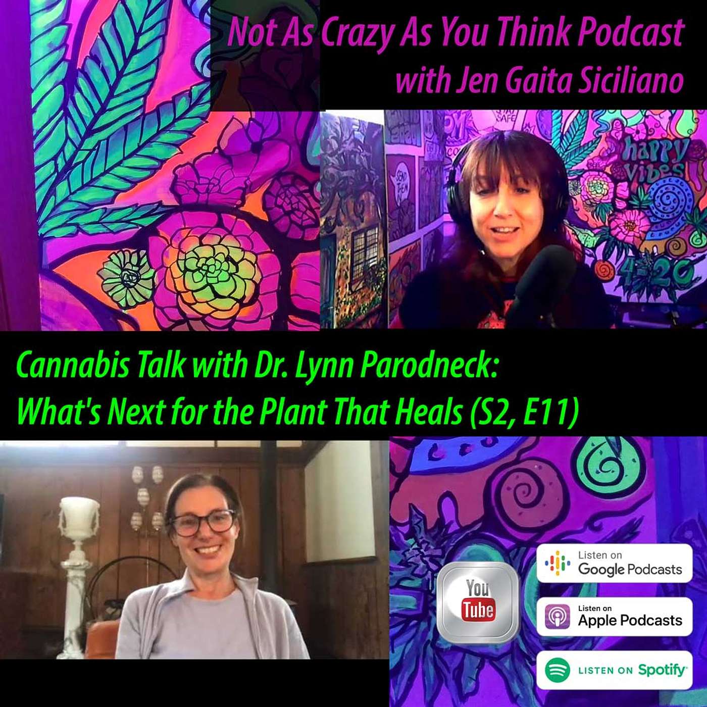 Cannabis Talk with Dr. Lynn Parodneck: New York Recreation and What's Next for the Plant That Heals (S2, E11) episode artwork