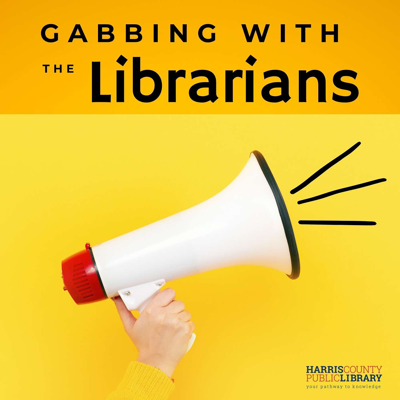 Using our Library Voices