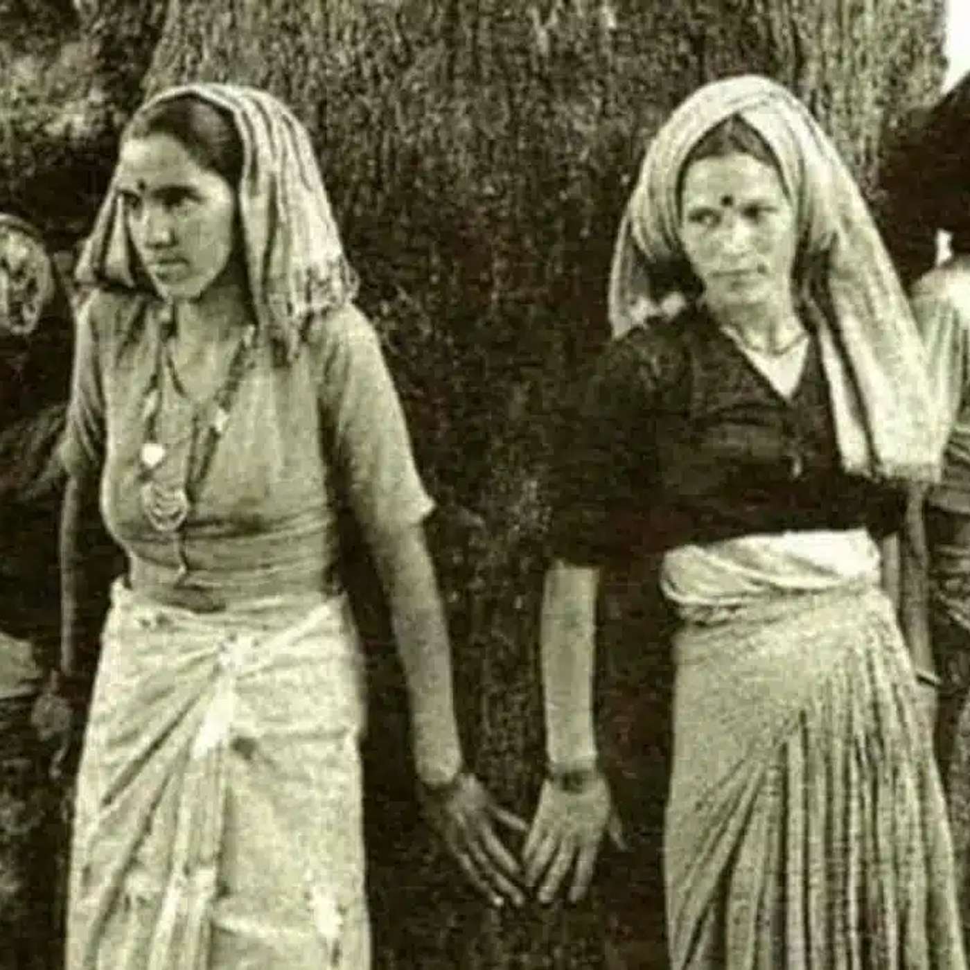 GKW48 Chipko Bewegung - wie Frauen die Bäume des Himalaya retteten