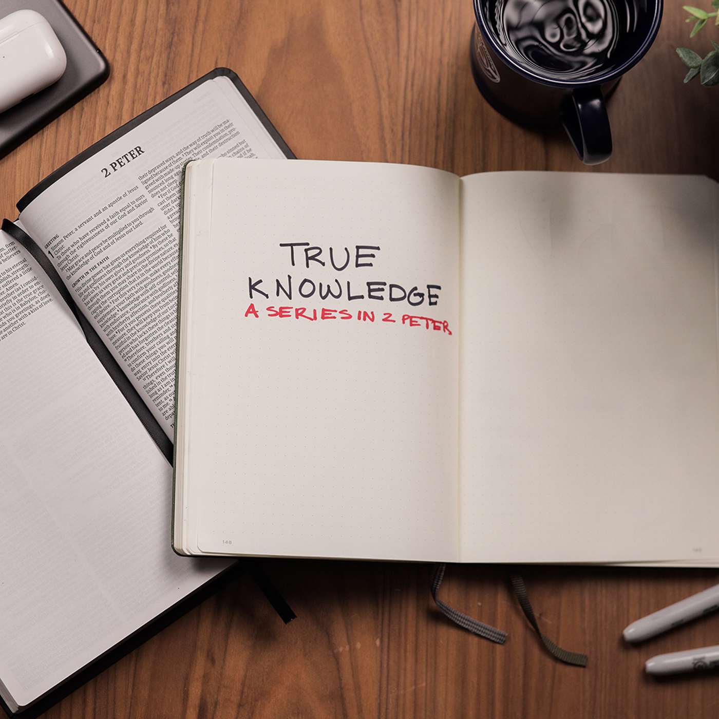 True Knowledge #4 False Teachers and God’s Judgement