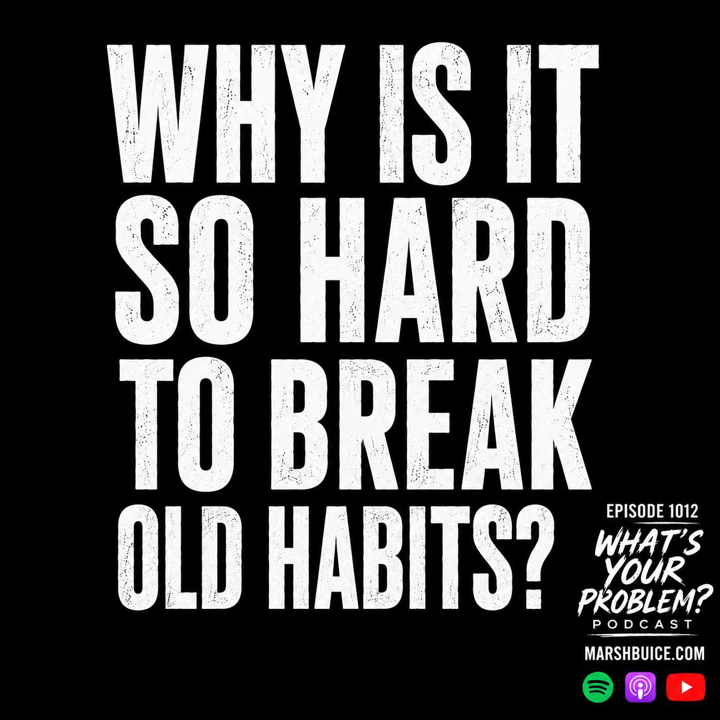Why Is It So Hard To Break Old Habits? episode artwork