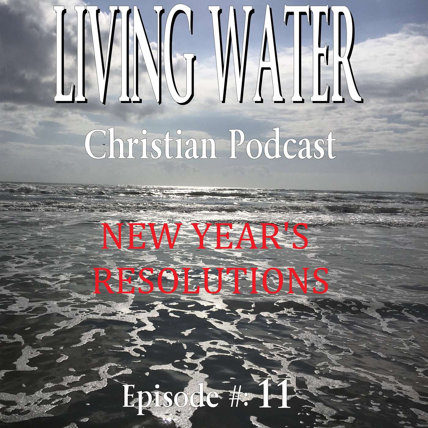 cover of episode NEW YEAR'S RESOLUTIONS