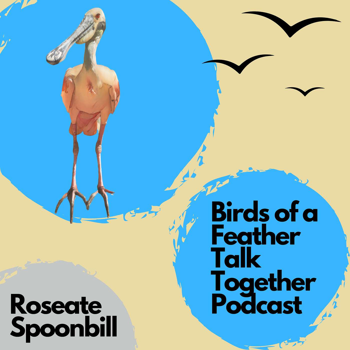 Birds of a Feather Talk Together