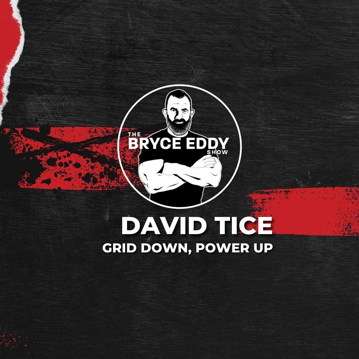 David Tice | Grid Down, Power Up