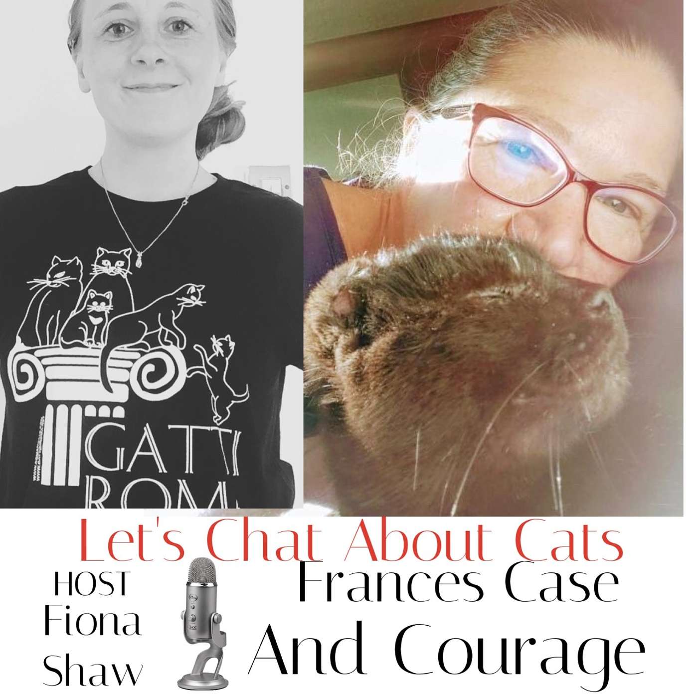 Lets Chat About Cats - Episode 15 With Special Guest Frances Case and Courage