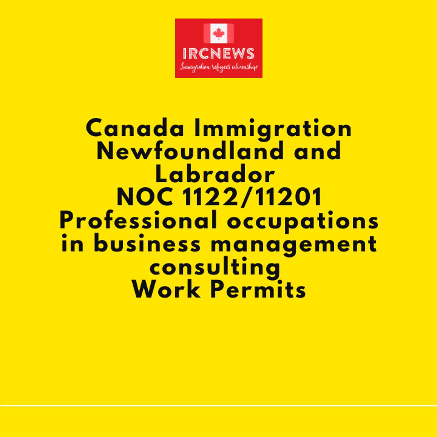 Canada Immigration Newfoundland and Labrador NOC 1122/11201 Professional occupations in business management consulting Work Permits episode artwork