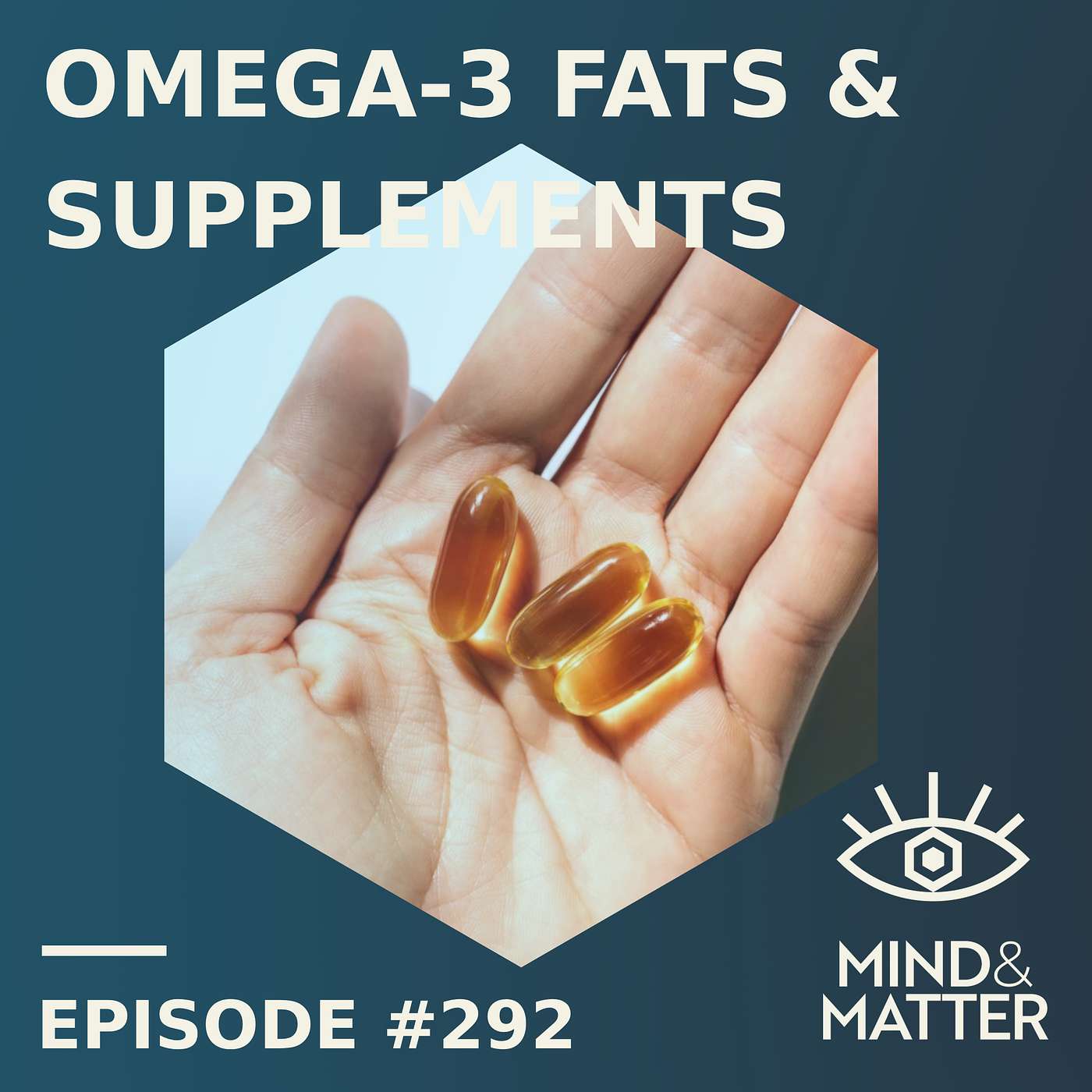 Omega Fats & ω-3 Supplements in Human Health | Bill Harris | Episode 292 episode artwork