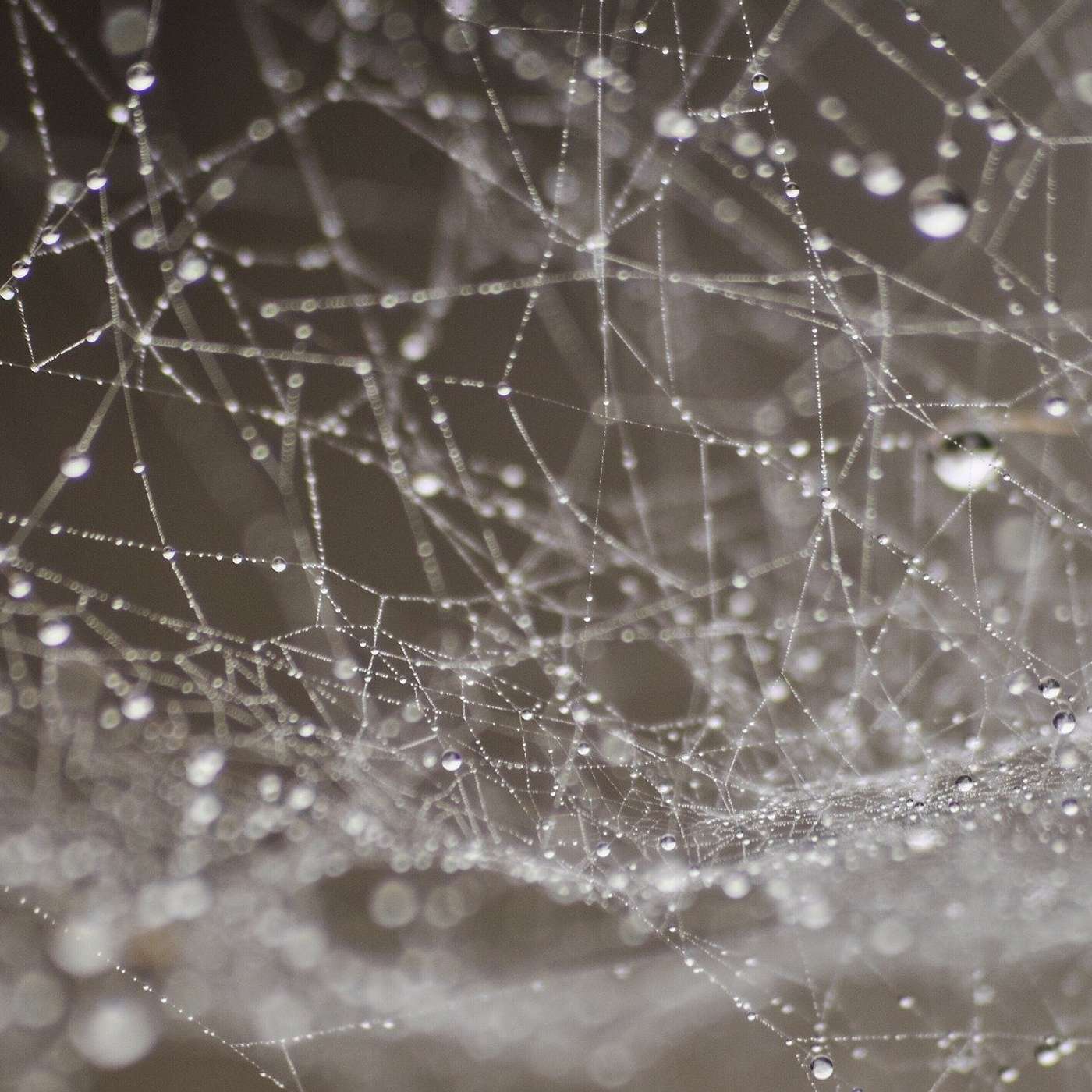 The One about Emotions, Stories, and Paradigm Shifts