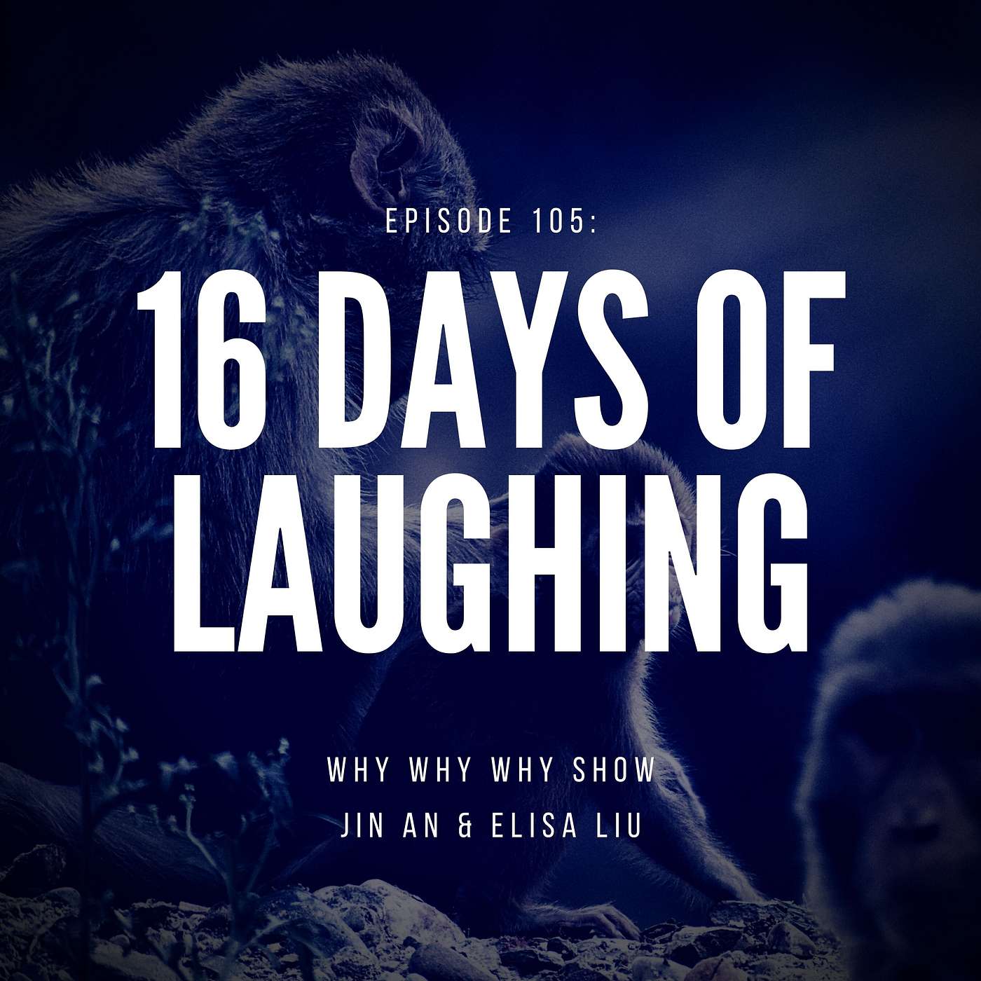 105: 16 Days of Laughing