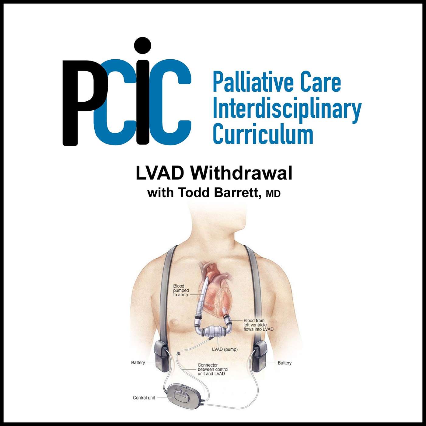 Palliative Care Interdisciplinary  Curriculum