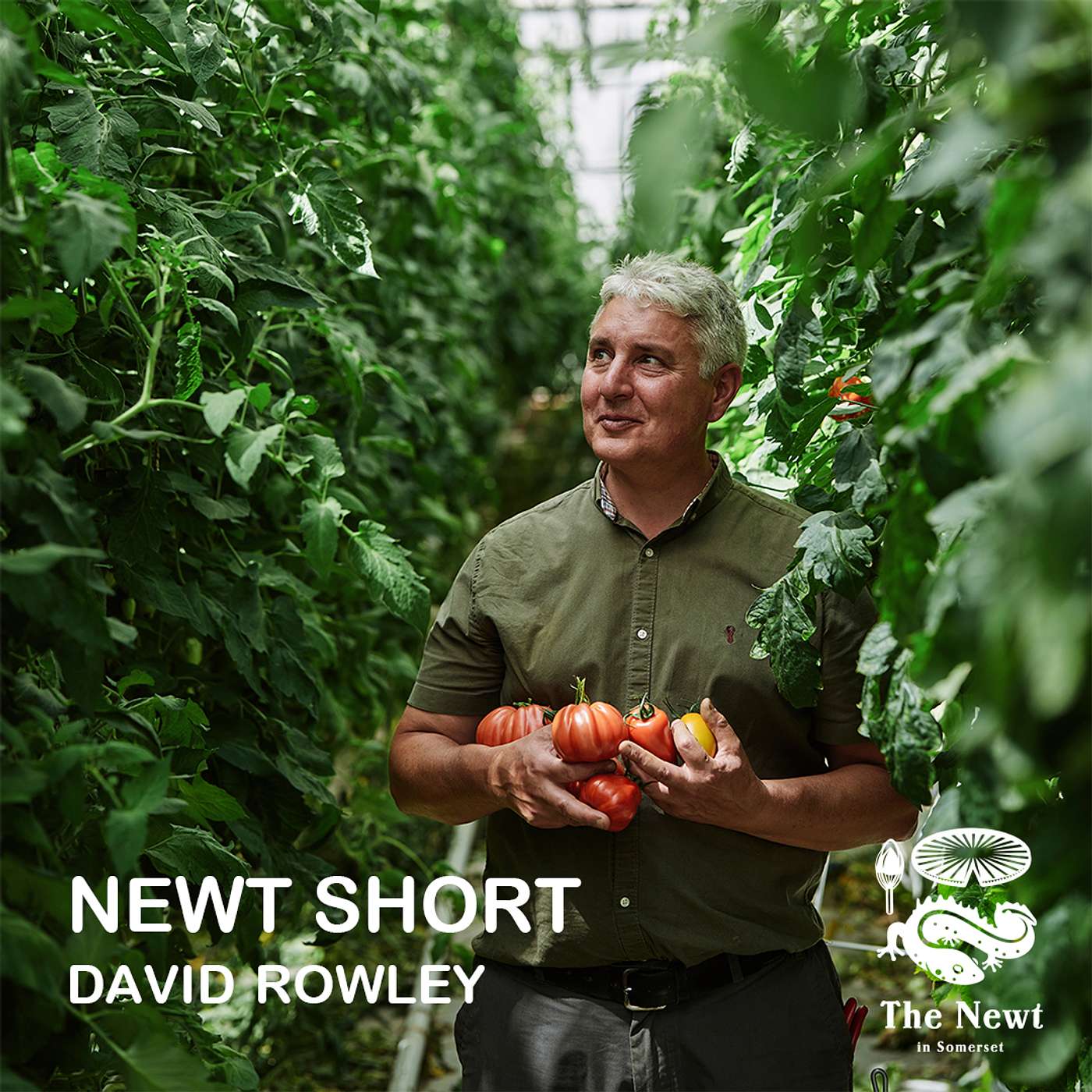 Newt Short: David Rowley on The Market Garden