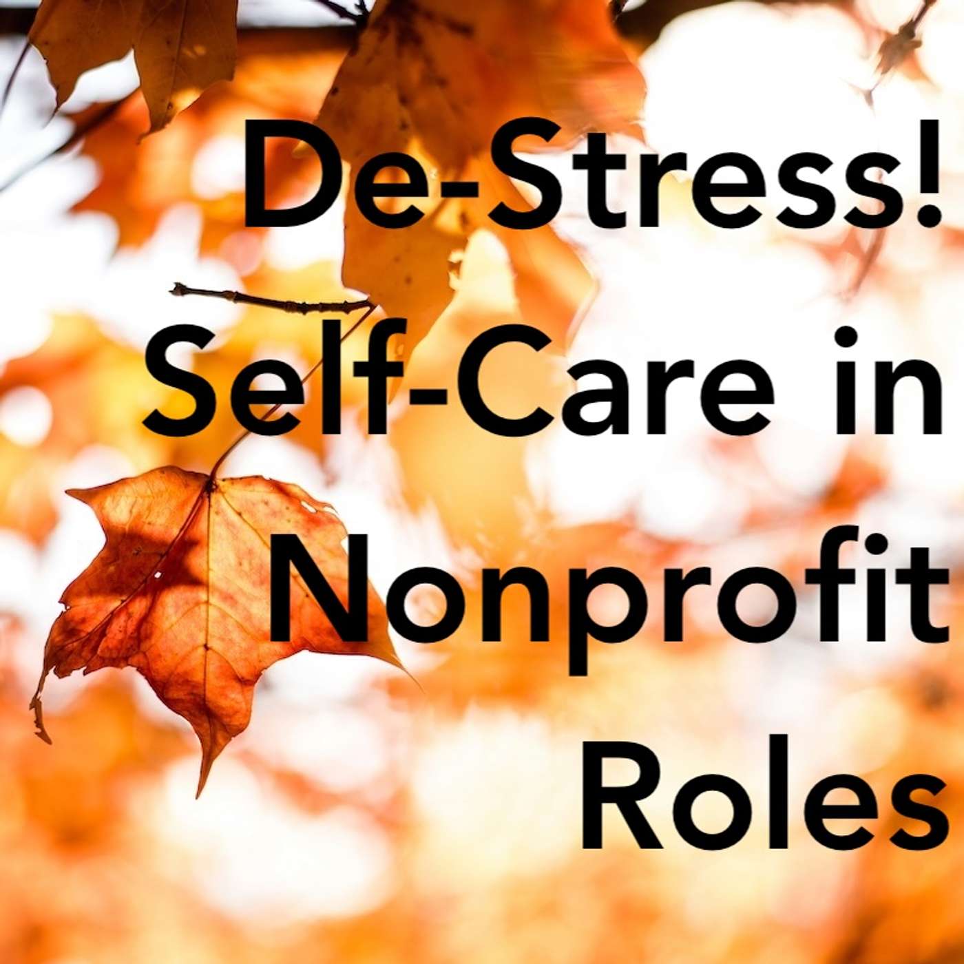 De-Stress! Self Care in Nonprofit IT Roles with Carolyn Woodard