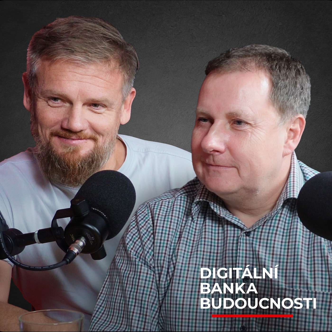 Kvalifikovaný certifikát - elektronický podpis budoucnosti? | Petr Pinkas & Tomáš Prjacha