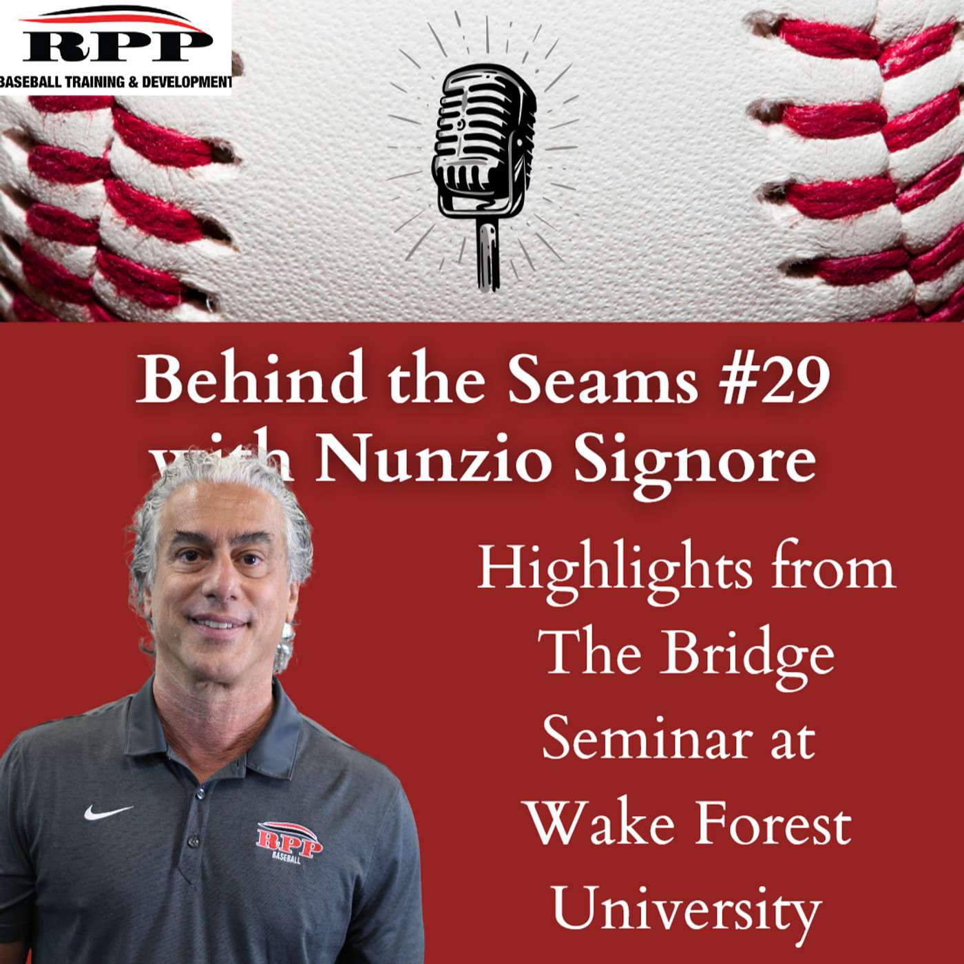 Behind the Seams Baseball Podcast