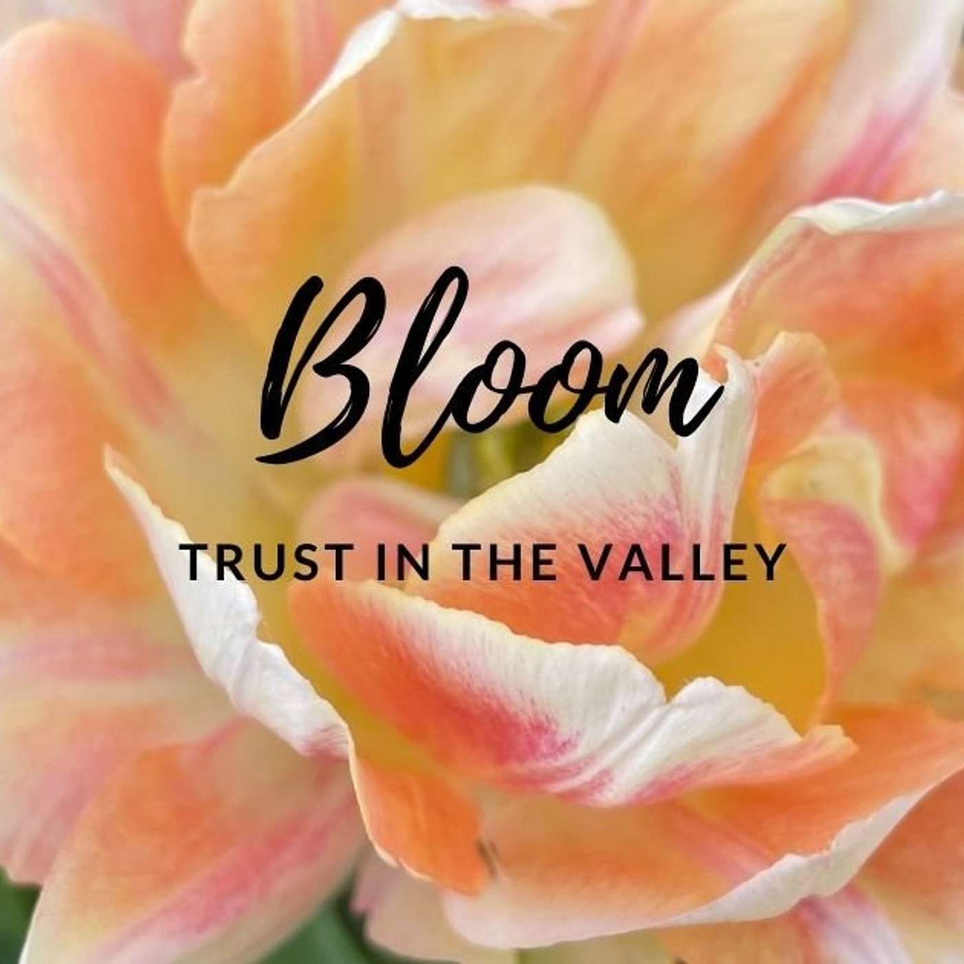 Bloom! Trusting In The Valley | Jim Ellis | Ecclesiastes | Week 3