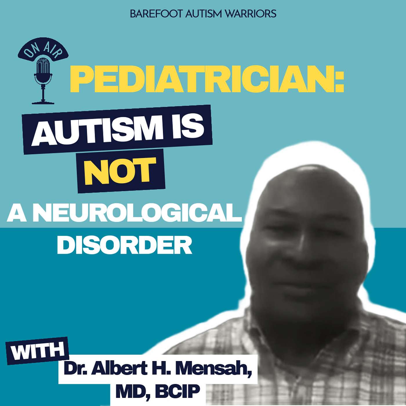 BAREFOOT AUTISM WARRIORS turn autism around podcast. | Recovery strategies for ambitious, health-conscious, Christian moms who want to go from tantrums and eloping to peace and independence.