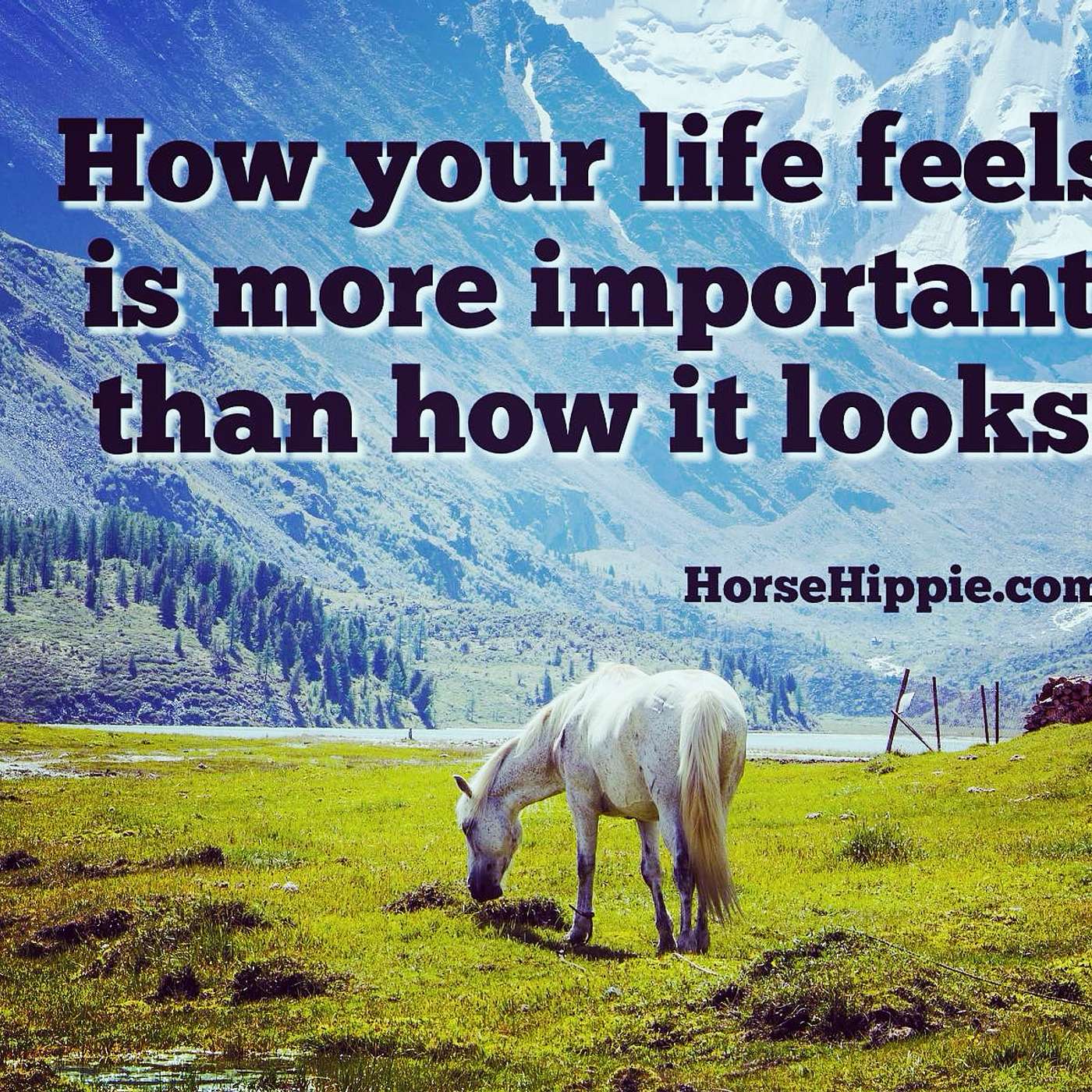 Feel it to Believe it