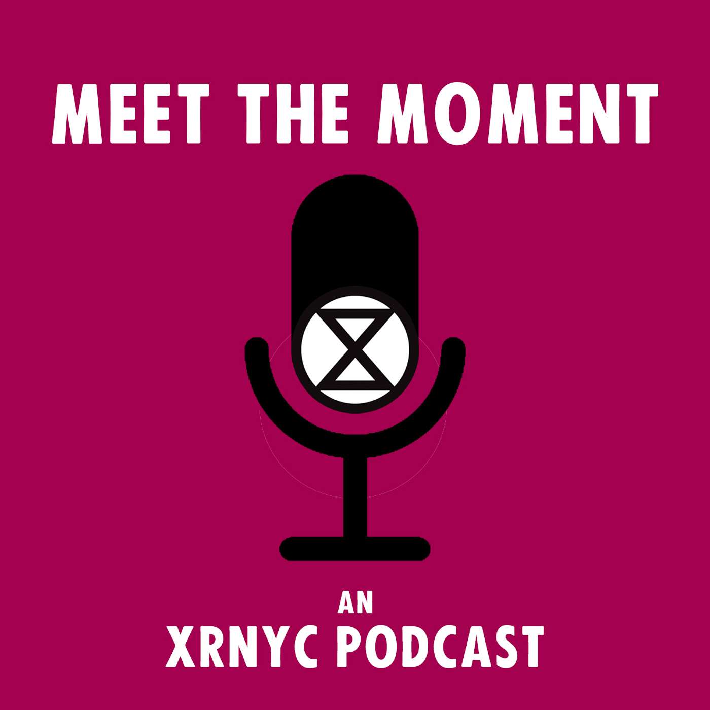 Meet the Moment cover art