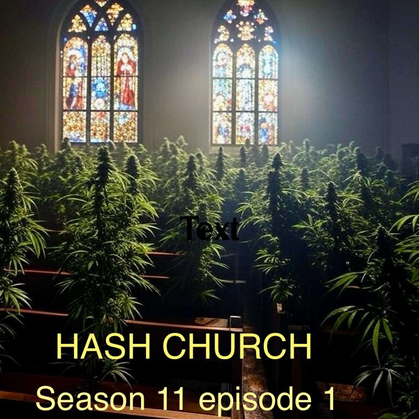 Hash Church