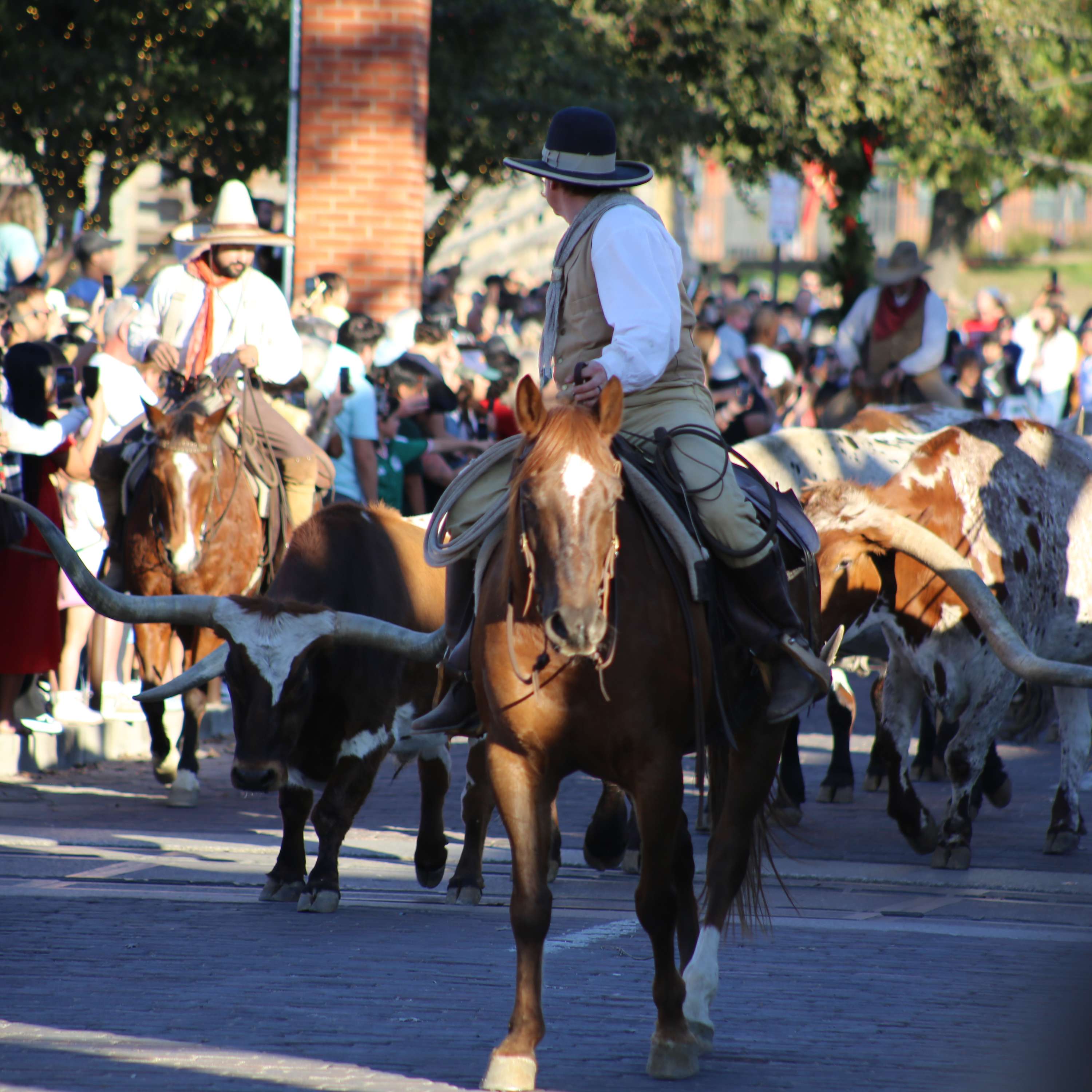 Troy's Test RSS Podcast