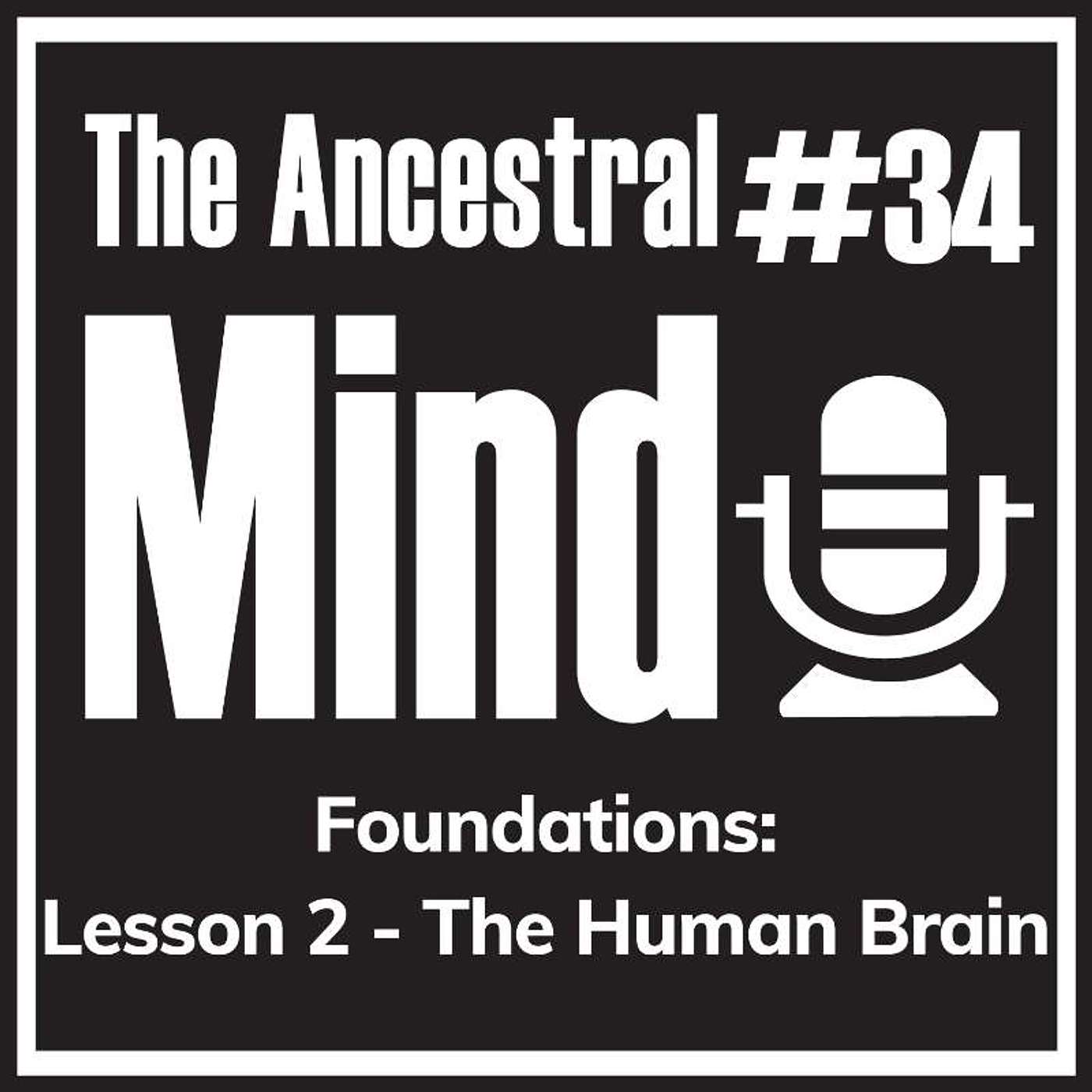 #34 – Ancestral Principles of Your Human Brain