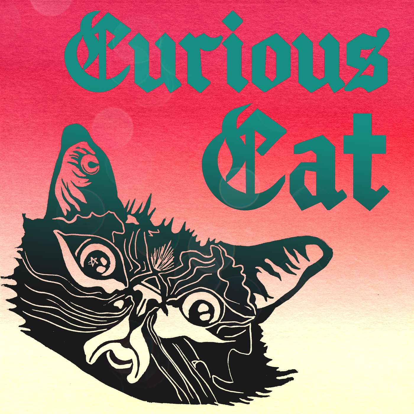 Curious Cat