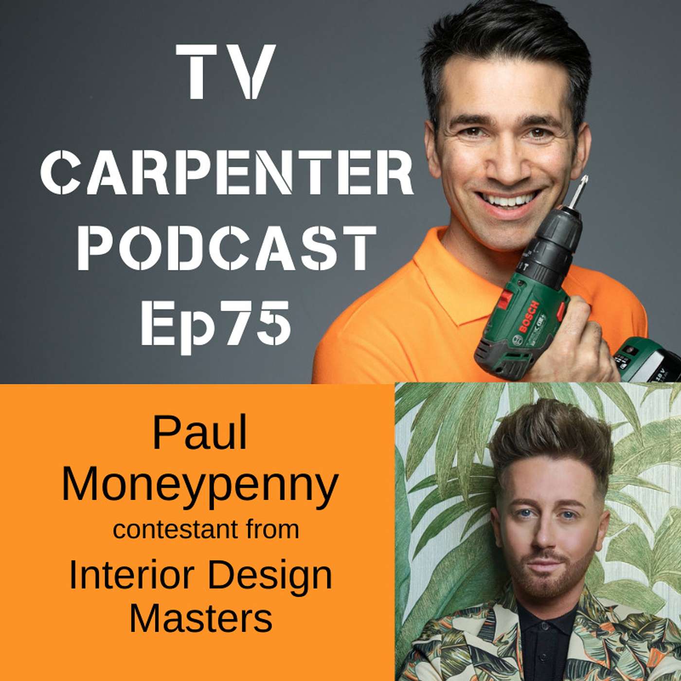 THE TV CARPENTER : Home Makeovers with Wayne Perrey