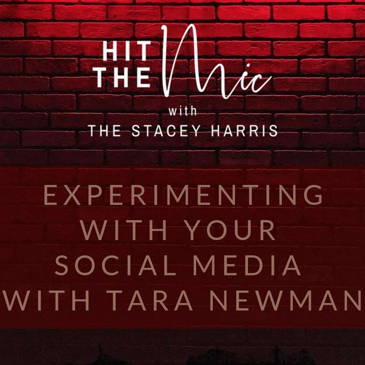 The More Profitable Podcast with Stacey Harris