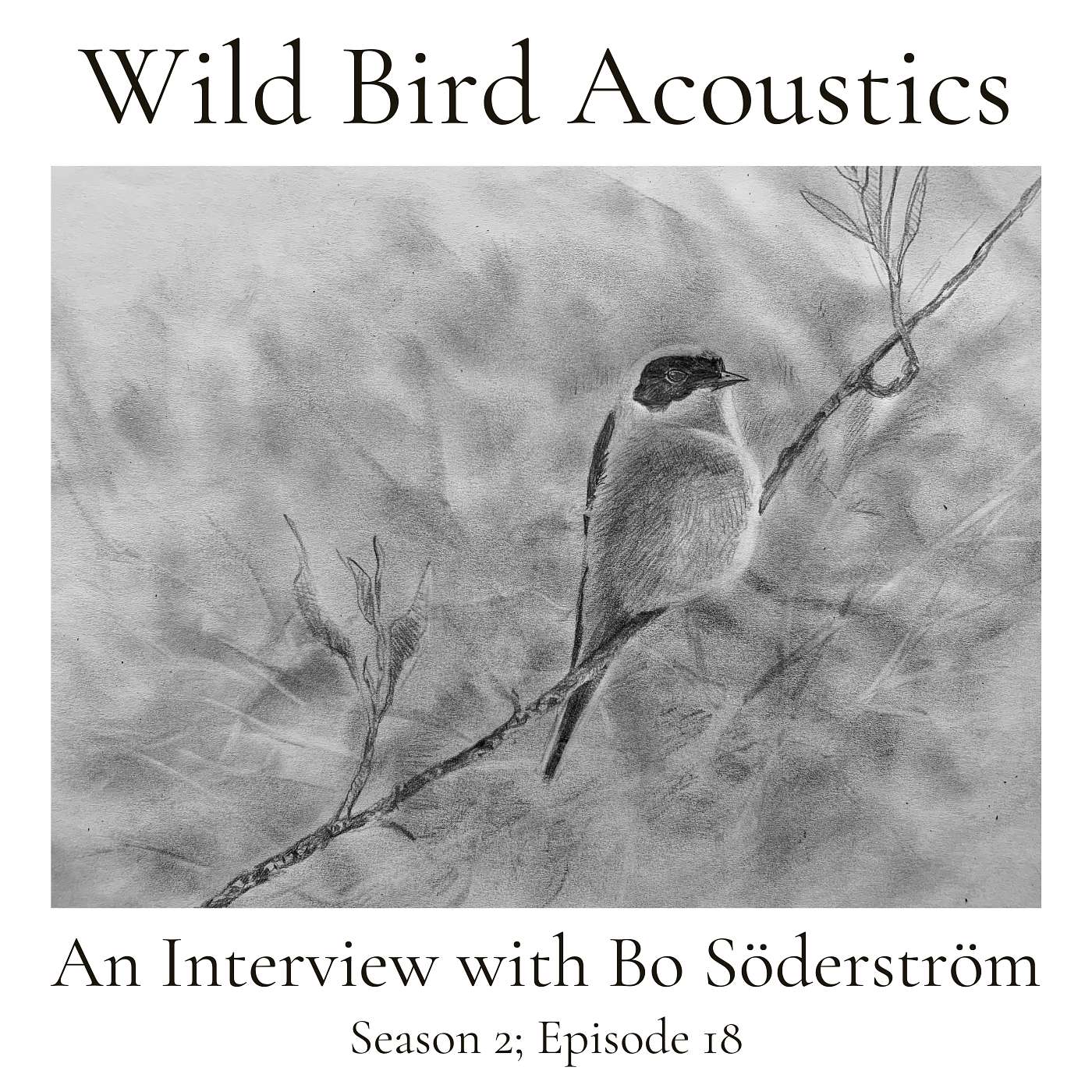 An Interview with Bo Söderström