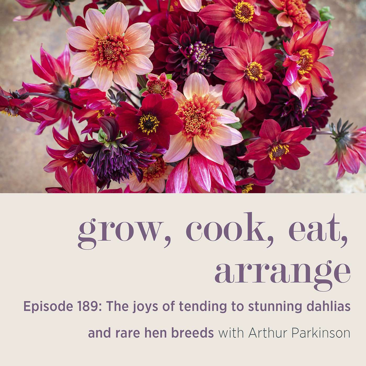 The joys of tending to stunning dahlias and rare hen breeds with Arthur Parkinson - Episode 189