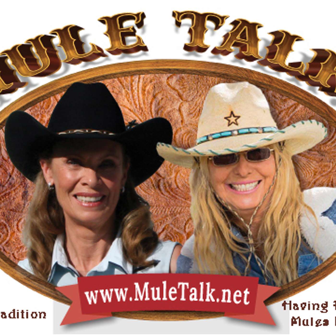 CHRISTMAS FUN WITH YOUR MULE - MEREDITH HODGES - LUCKY THREE RANCH