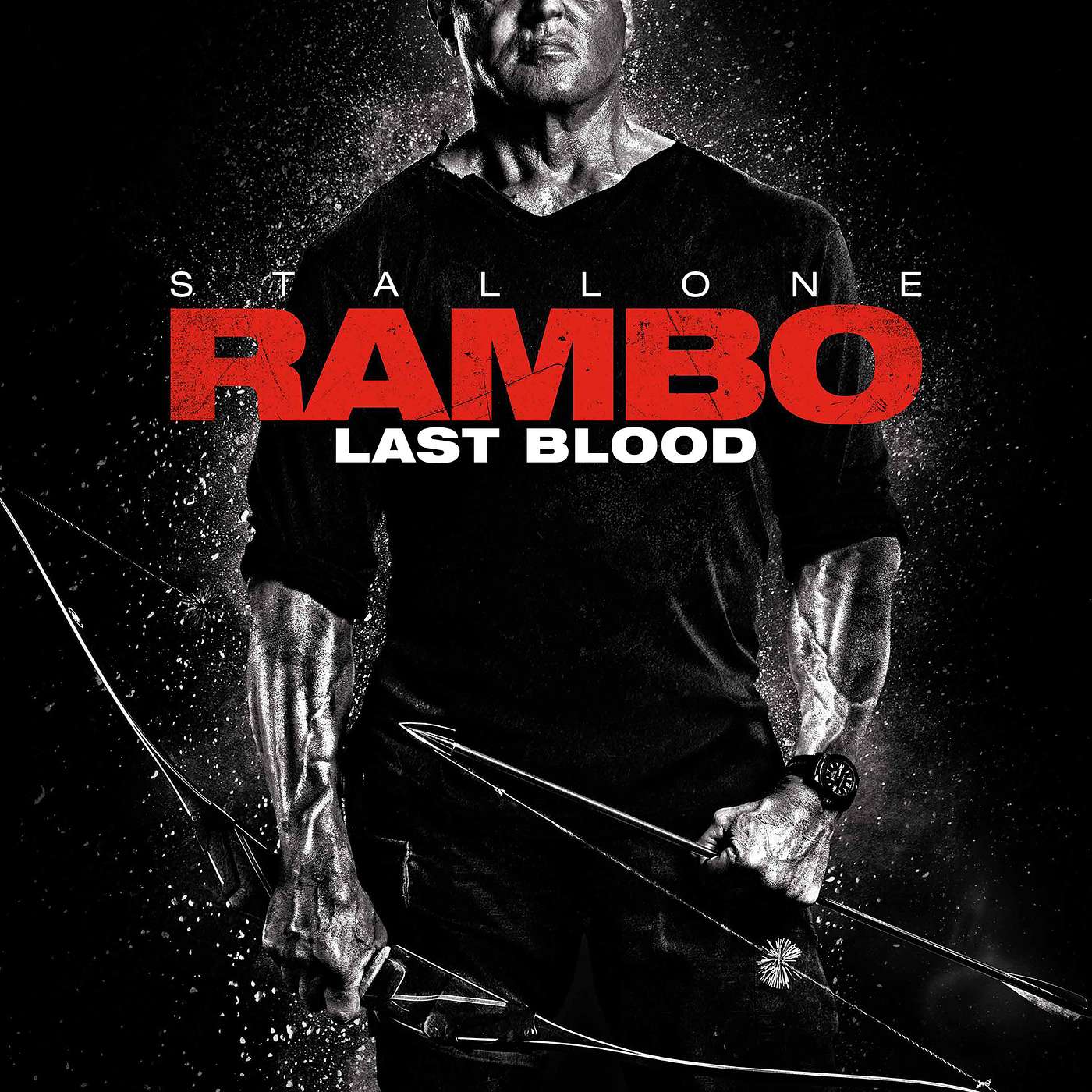 Rambo Last Blood & John Dillermand