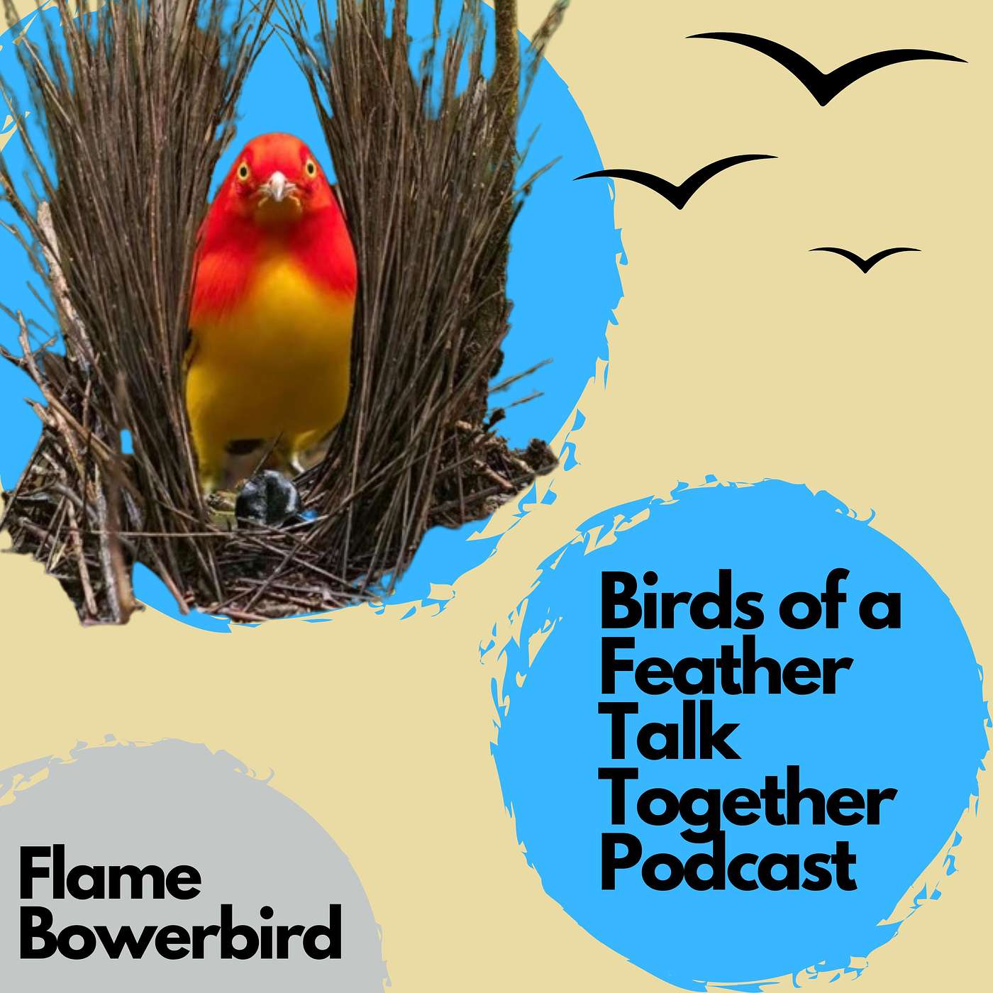 Birds of a Feather Talk Together