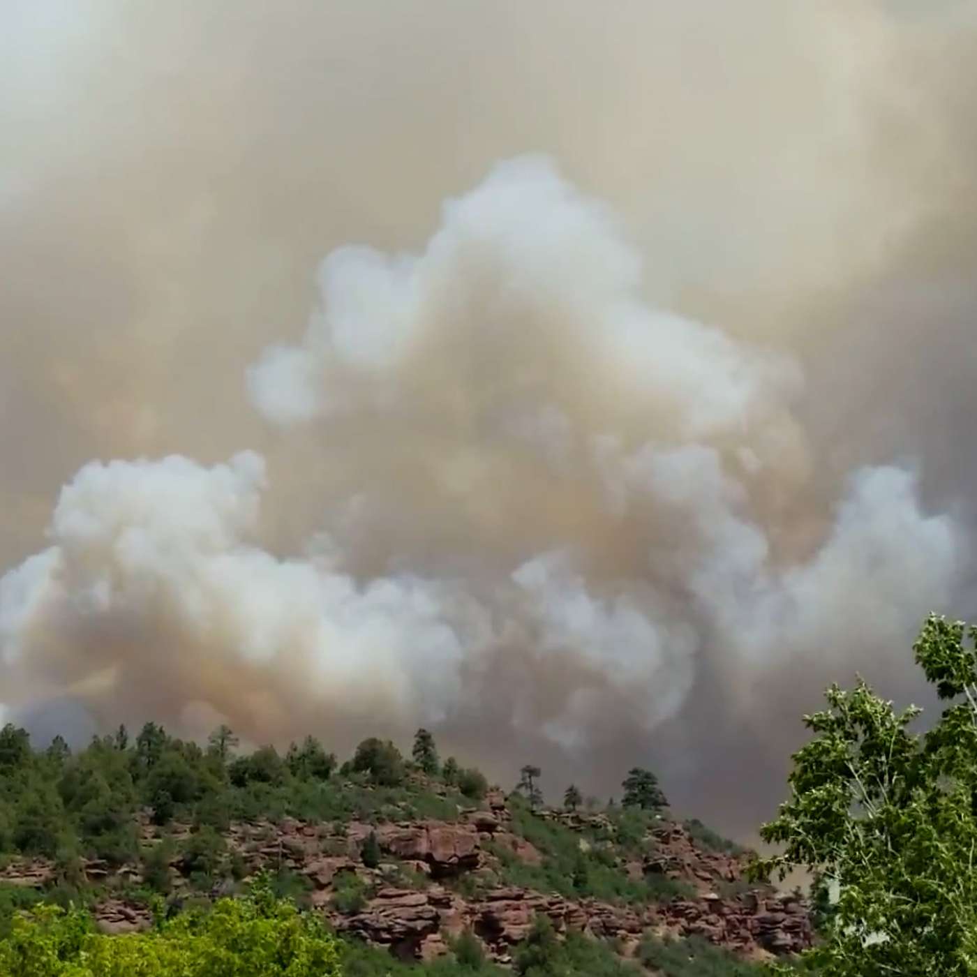 Health Effects of Wildfire Smoke When It’s Too Dangerous Outside to Breathe