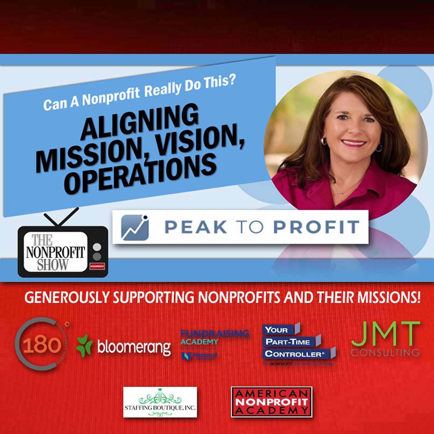 Aligning Nonprofit's Mission, Vision, and Operations!