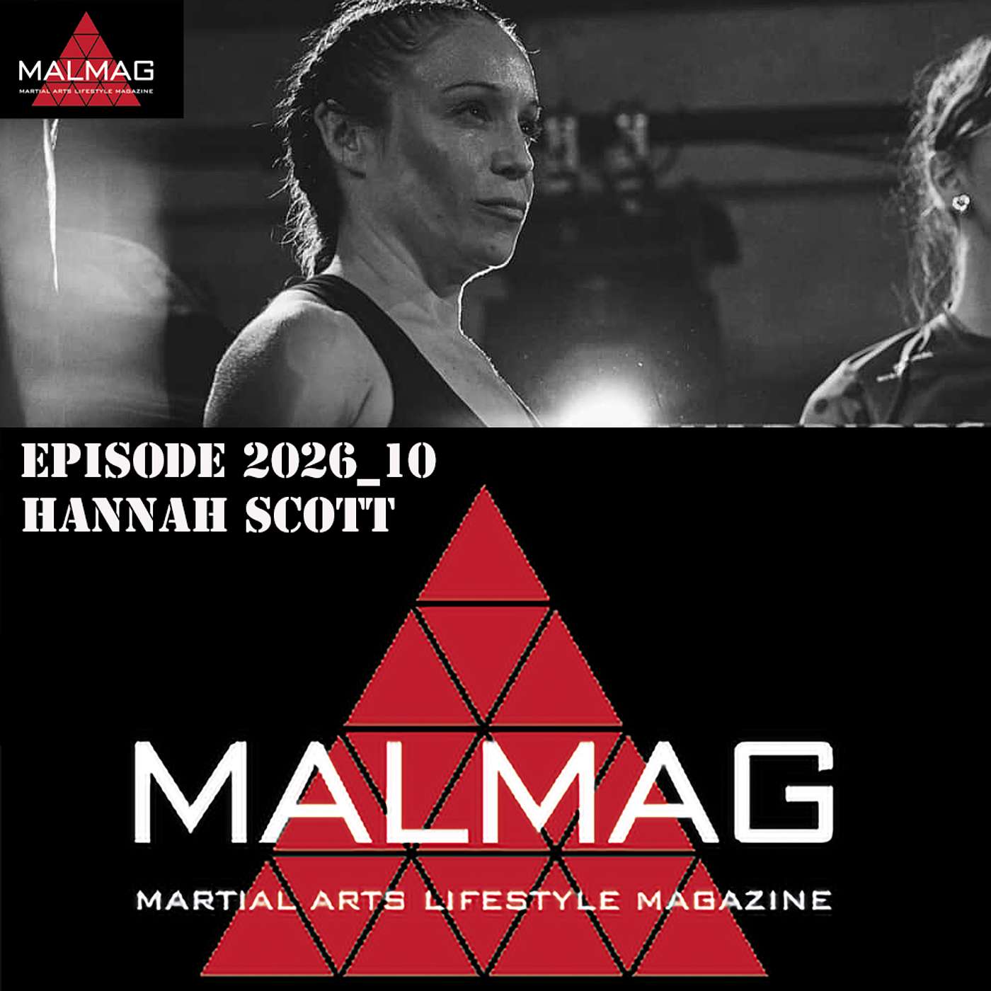 The Martial Arts Lifestyle Podcast