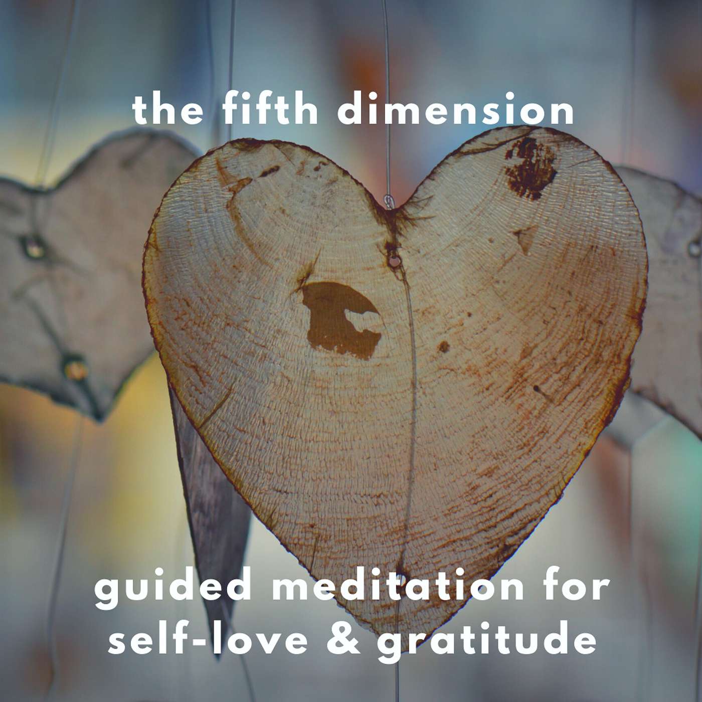 The Fifth Dimension