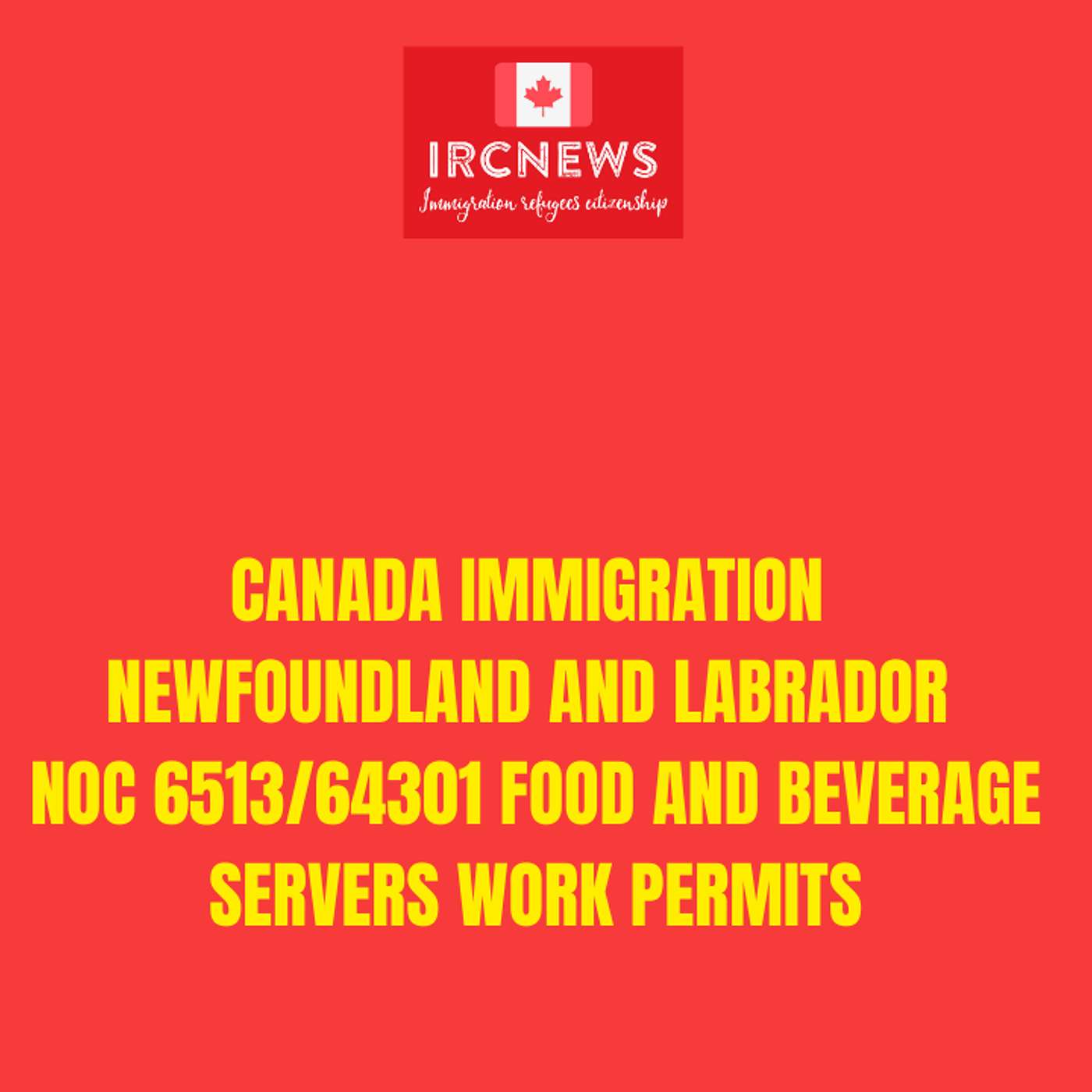 Canada Immigration Newfoundland and Labrador NOC 6513/64301 Food and beverage servers Work Permits episode artwork