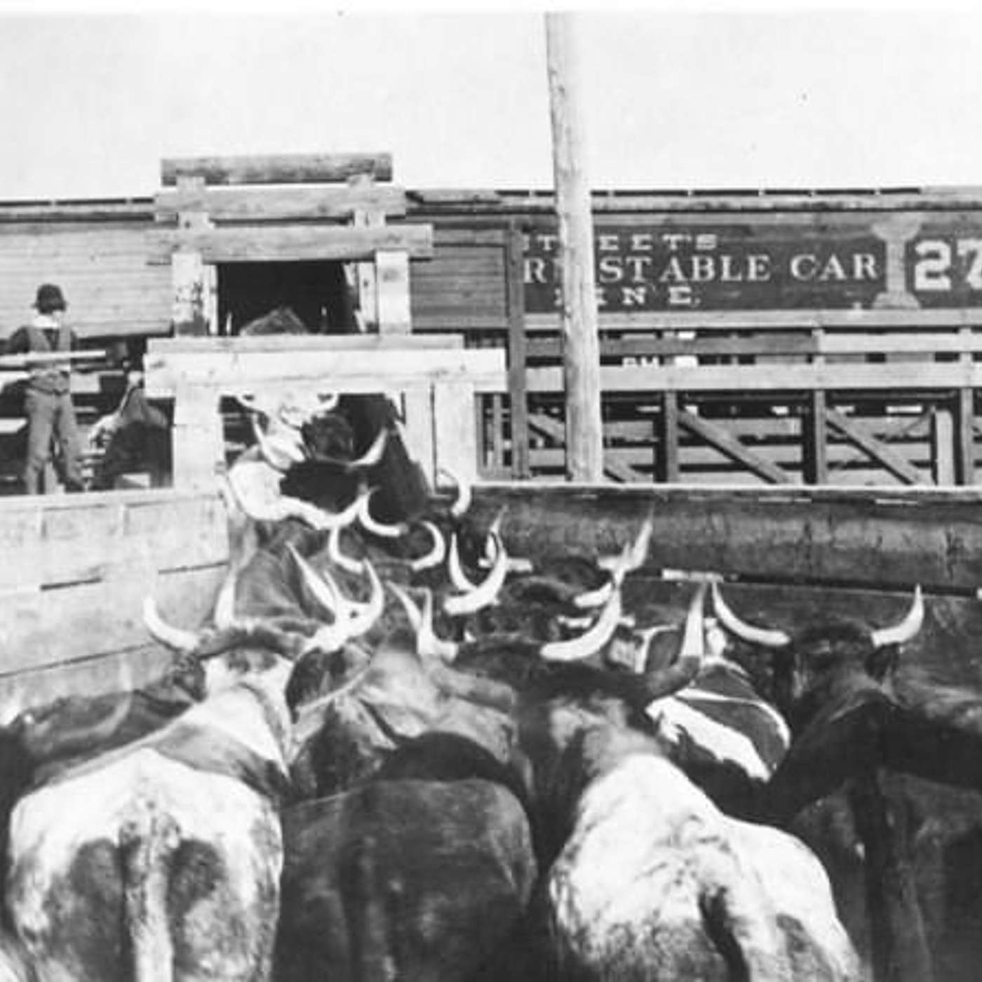 Wild West Podcast