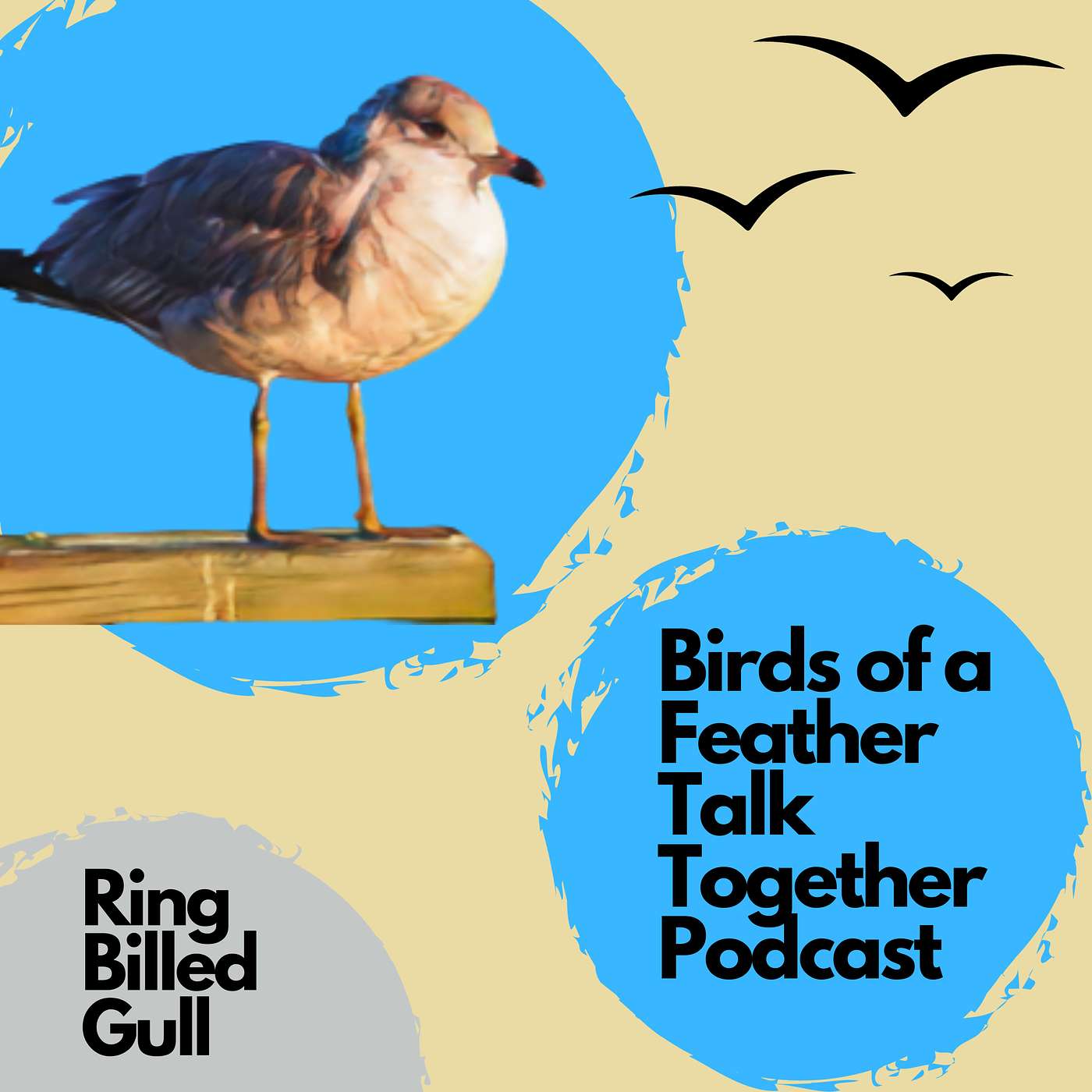 Birds of a Feather Talk Together