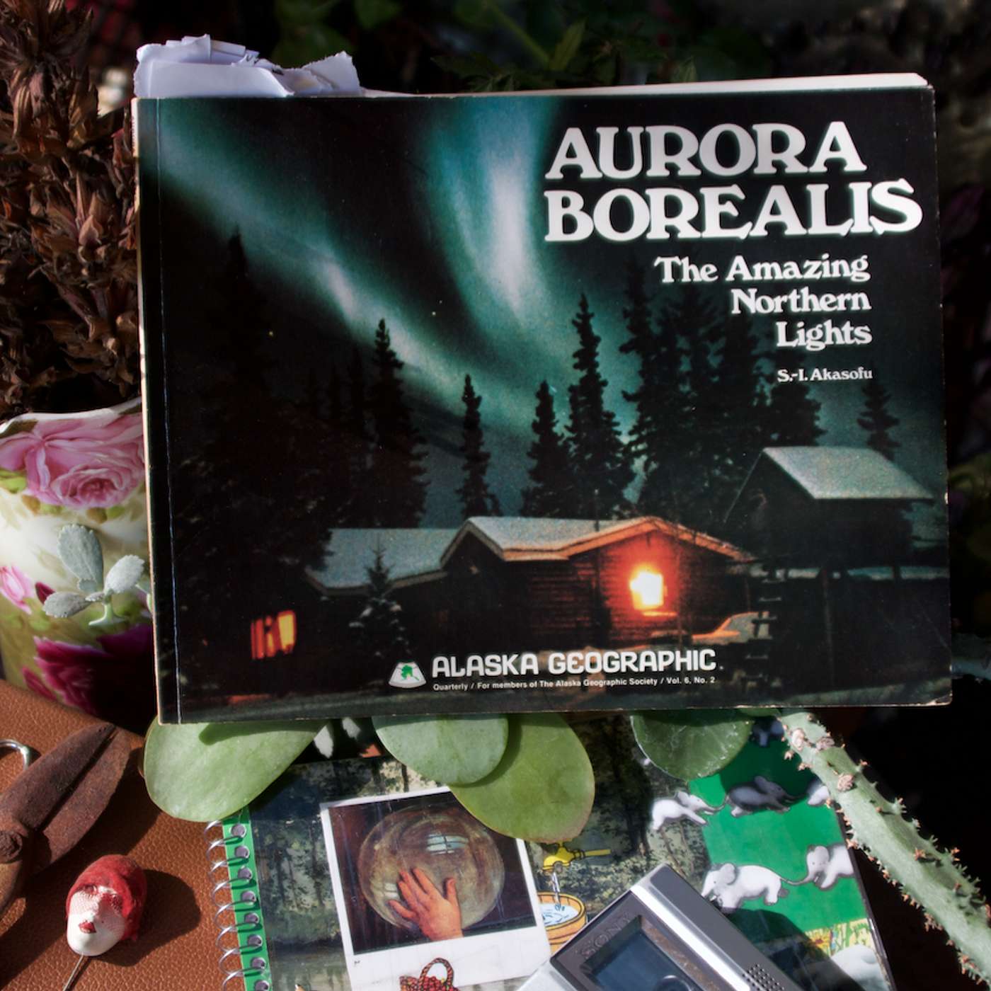 Solving the Riddle of the Aurora episode artwork