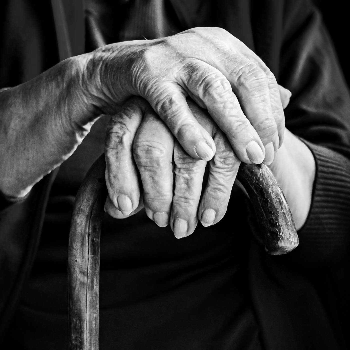 Who's Going to Take Care of You When You're Old: A Childfree Bingo