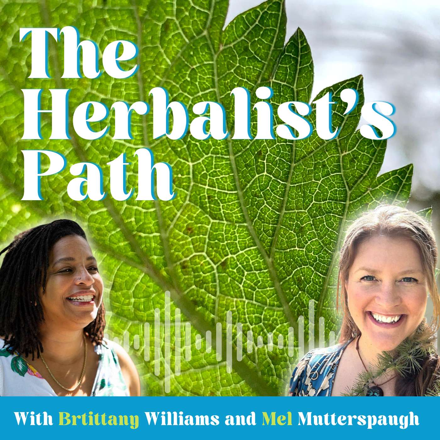 Staying Regulated in a Dysregulated World: Nervous System Herbs for Challenging Times Staying Regulated in a Dysregulated World: Nervous System Herbs for Challenging Times